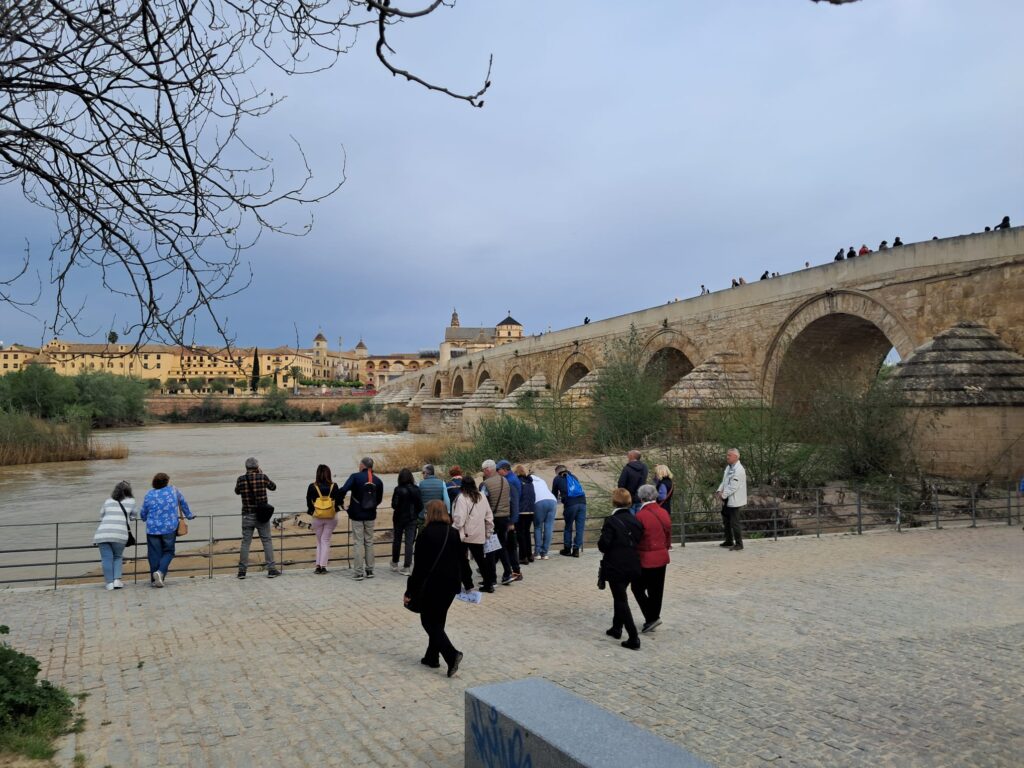 Sotos de albolafia